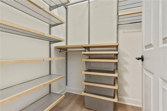 spacious closet featuring wood-type flooring