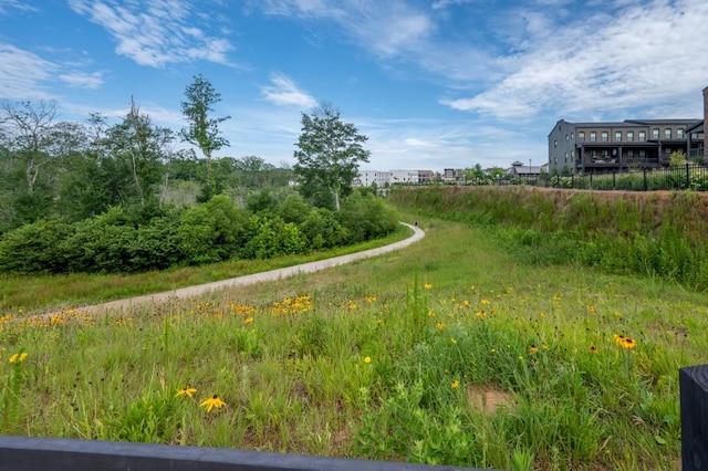 10565 Highgate Manor Ct, Duluth, GA 30097 - view of yard
