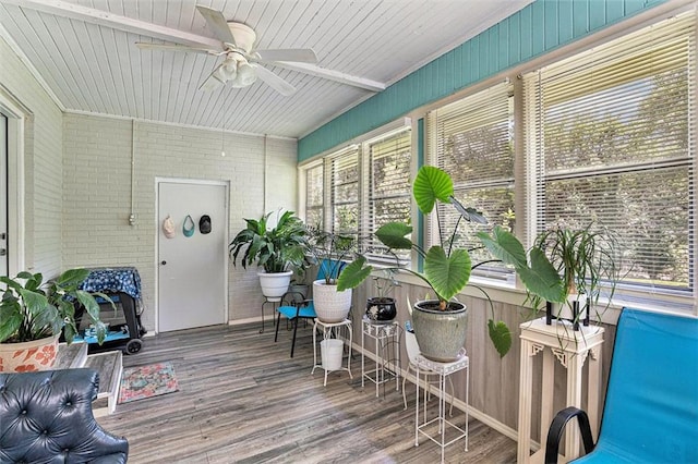141 Parr Wade Rd SE, Cartersville, GA 30120 - sunroom with ceiling fan