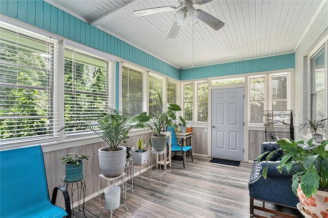 141 Parr Wade Rd SE, Cartersville, GA 30120 - sunroom / solarium featuring ceiling fan