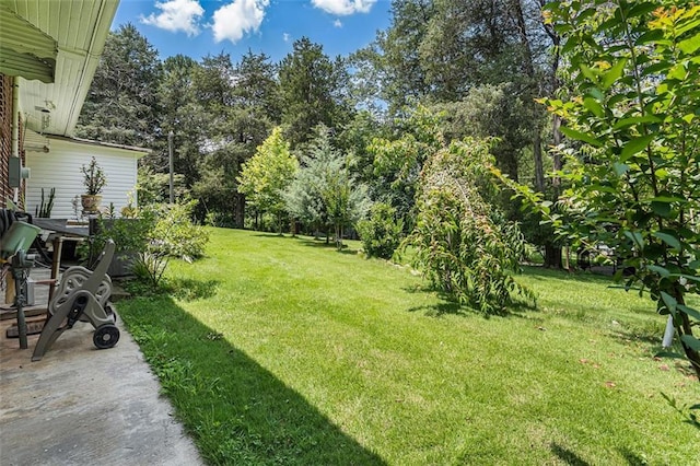 141 Parr Wade Rd SE, Cartersville, GA 30120 - view of green lawn with view of wooded area