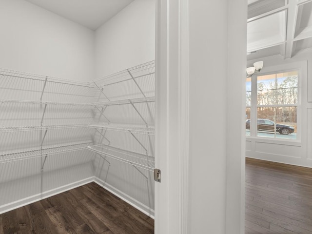 spacious closet featuring dark hardwood / wood-style flooring