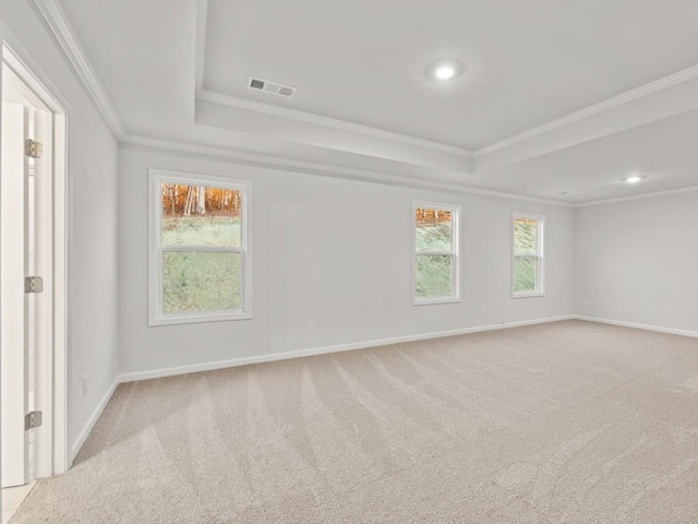 empty room with ornamental molding, light colored carpet, and a raised ceiling