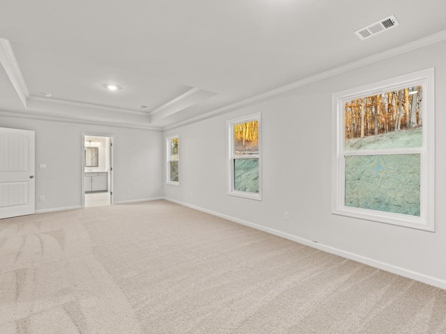 carpeted spare room with a raised ceiling and ornamental molding