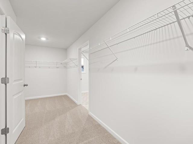 walk in closet with light colored carpet