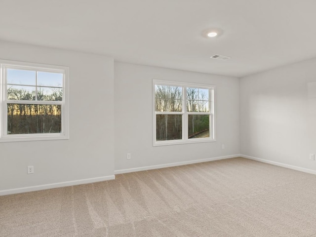 carpeted empty room featuring a wealth of natural light