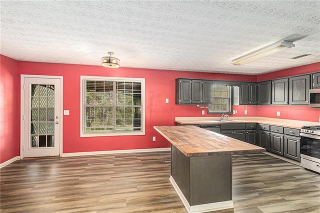 kitchen with stainless steel appliances, dark wood-style floors, a healthy amount of sunlight, and wooden counters