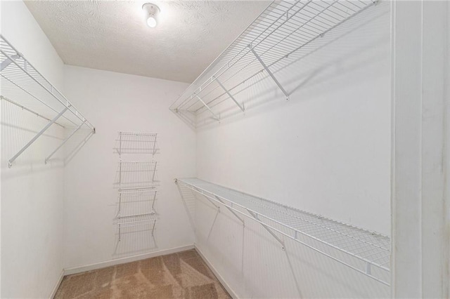 walk in closet with light carpet