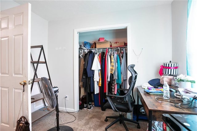 interior space with a closet and baseboards