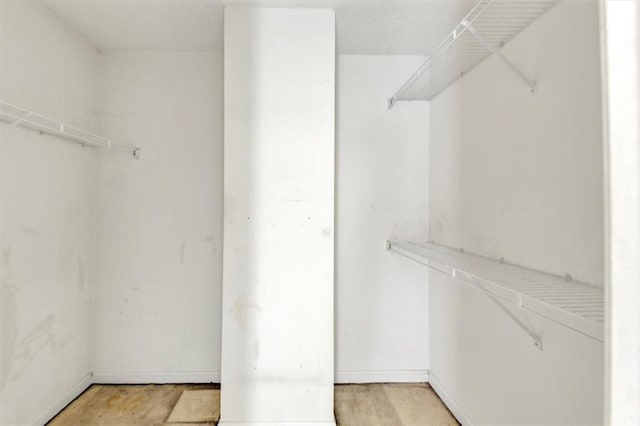 1735 Silver Way, Lithia Springs, GA 30122 - view of spacious closet