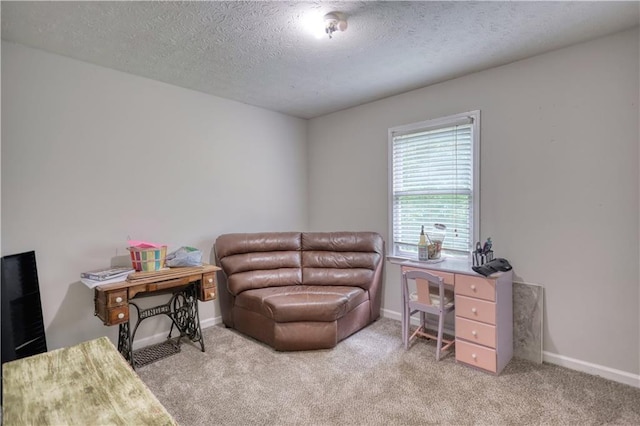 1638 River Trce, Auburn, GA 30011 - carpeted home office with baseboards and a textured ceiling