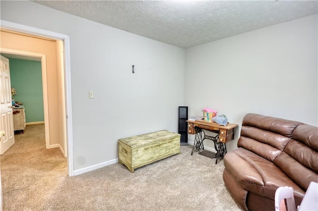 1638 River Trce, Auburn, GA 30011 - living area featuring light colored carpet, baseboards, and a textured ceiling