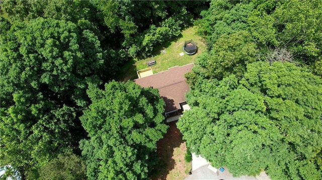 1638 River Trce, Auburn, GA 30011 - aerial view of property's location