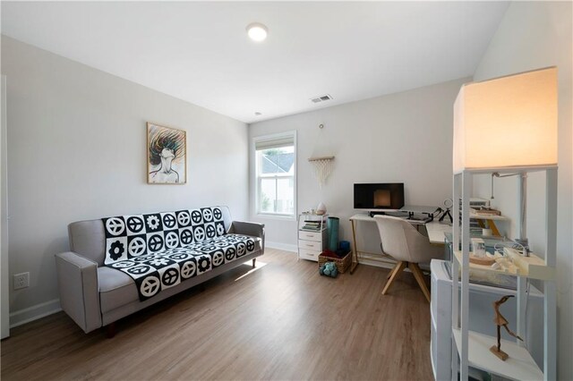 living room featuring wood-type flooring