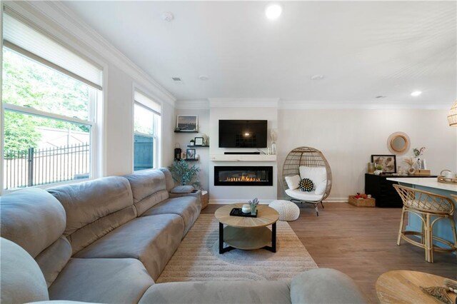 living room featuring crown molding and light hardwood / wood-style floors