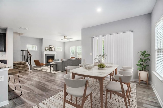 dining room featuring a warm lit fireplace, light wood-type flooring, stairs, baseboards, and ceiling fan