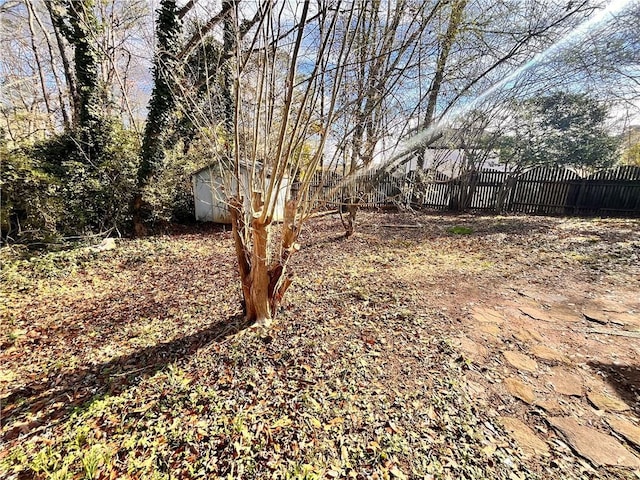 view of yard featuring a shed