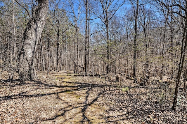 view of nature with a wooded view