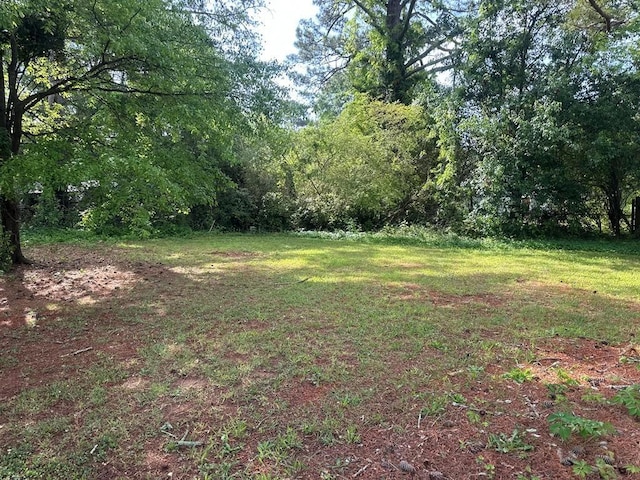 view of yard with a view of trees