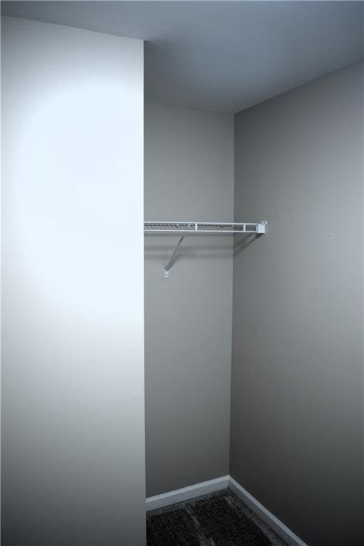 235 Woodland Way, Canton, GA 30114 - view of closet
