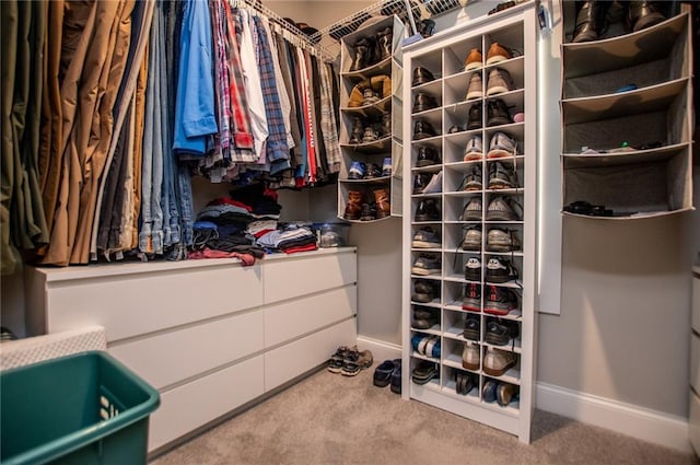 walk in closet featuring carpet flooring