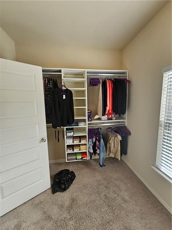 walk in closet featuring carpet flooring and lofted ceiling
