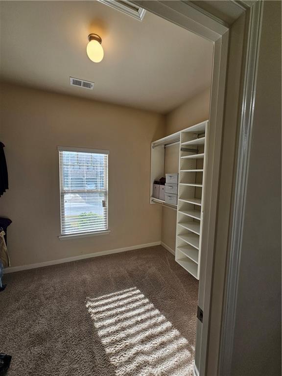 walk in closet with carpet flooring