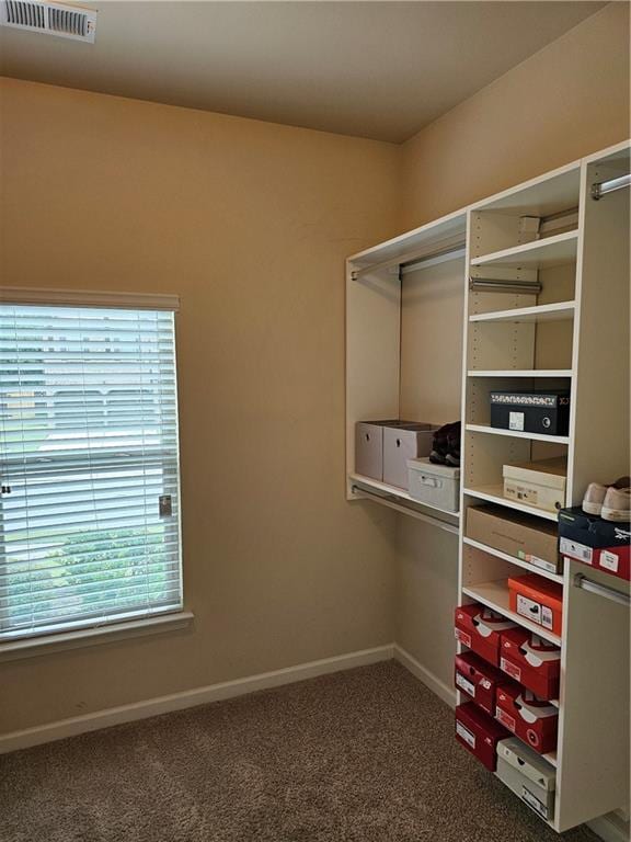 1750 Stone Meadow Rd, Lithonia, GA 30058 - walk in closet featuring carpet