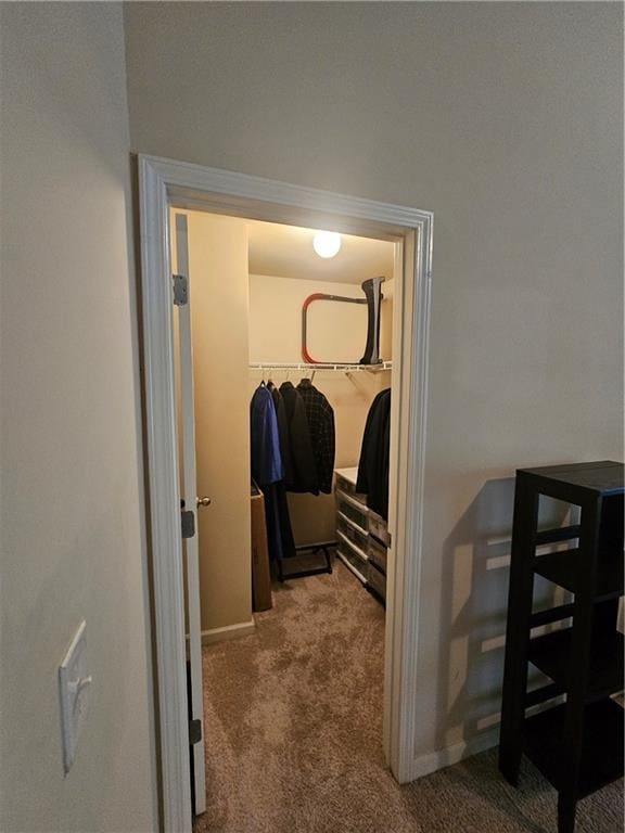 spacious closet featuring carpet floors
