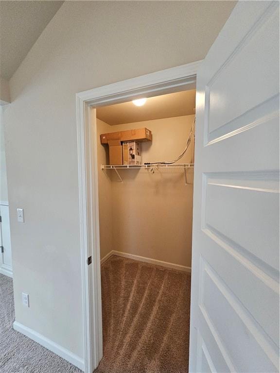 walk in closet with carpet floors