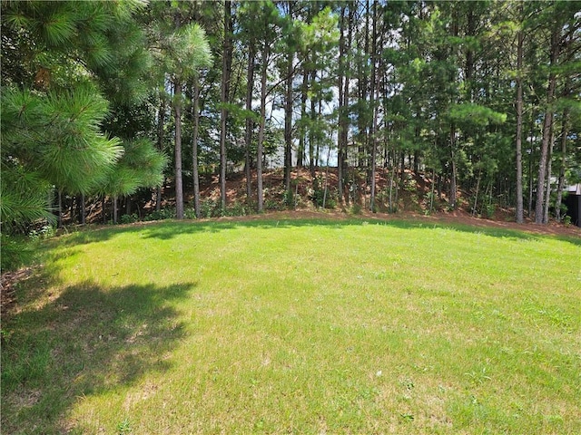 1750 Stone Meadow Rd, Lithonia, GA 30058 - view of green lawn