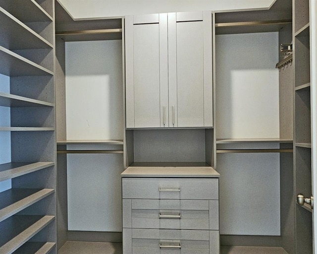 view of walk in closet