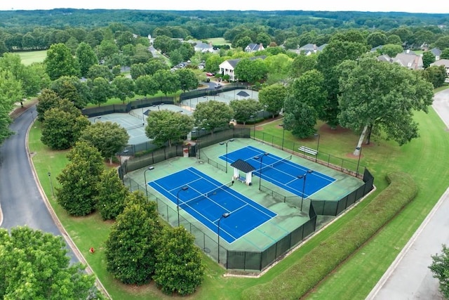 bird's eye view