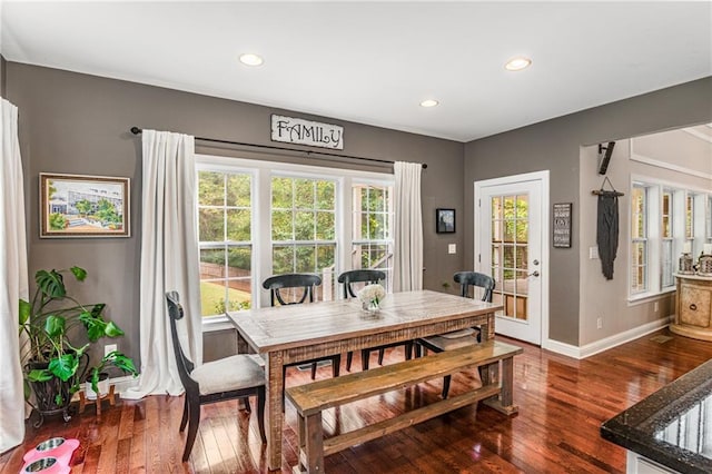 dining room featuring a wealth of natural light and dark wood-type flooring