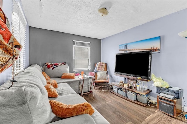 living room with a textured ceiling and hardwood / wood-style flooring