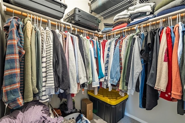 spacious closet featuring carpet