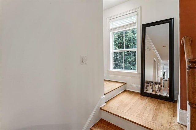 staircase featuring wood finished floors