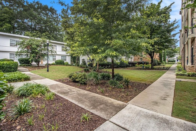 2230 Cheshire Bridge Rd NE Unit 401, Atlanta, GA 30324 - view of home's community featuring a lawn