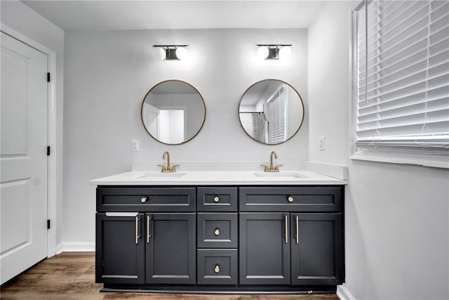 bathroom with double vanity, wood finished floors, baseboards, and a sink