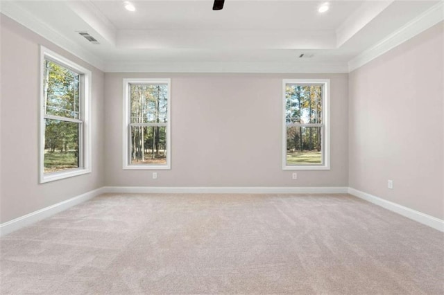 unfurnished room featuring light colored carpet, visible vents, a wealth of natural light, and a raised ceiling