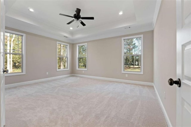 unfurnished room with a tray ceiling, light colored carpet, and a wealth of natural light