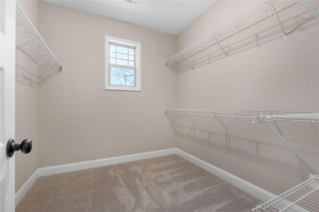 walk in closet featuring carpet flooring