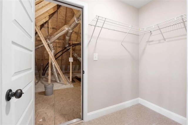 walk in closet with carpet