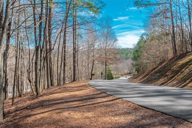 Listing photo 3 for LOT52 Mountain Creek Hollow Dr, Talking Rock GA 30175