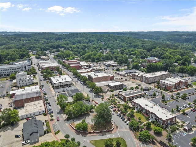 42 Riverdale St, Canton, GA 30114 - aerial view