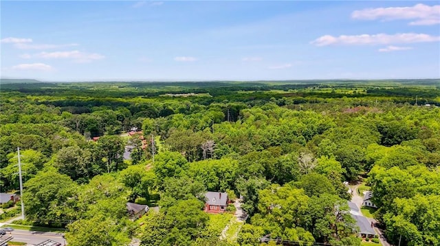 407 E College St E, Bowdon, GA 30108 - drone / aerial view of a forest