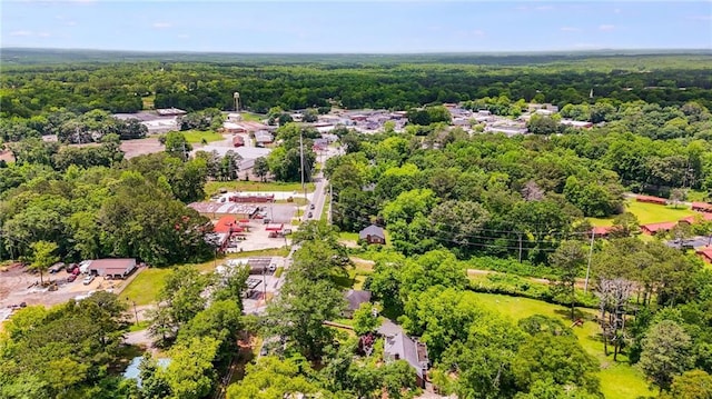 407 E College St E, Bowdon, GA 30108 - drone / aerial view of a heavily wooded area