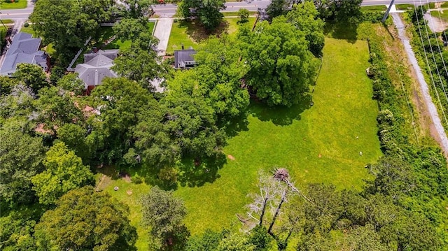 407 E College St E, Bowdon, GA 30108 - bird's eye view of a tree filled landscape