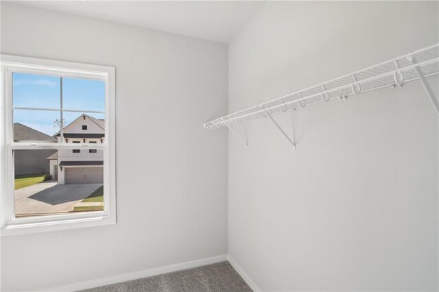 spacious closet with carpet