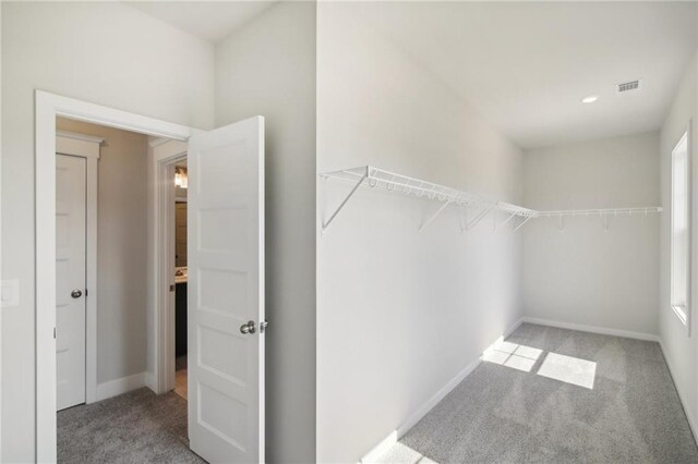 walk in closet with carpet